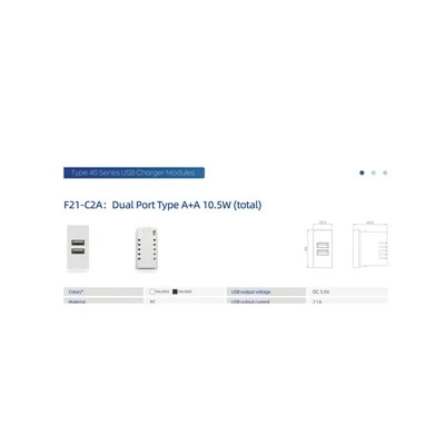 Dual USB A 10.5W Charger