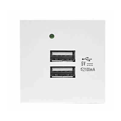 Dual USB A Charging Module