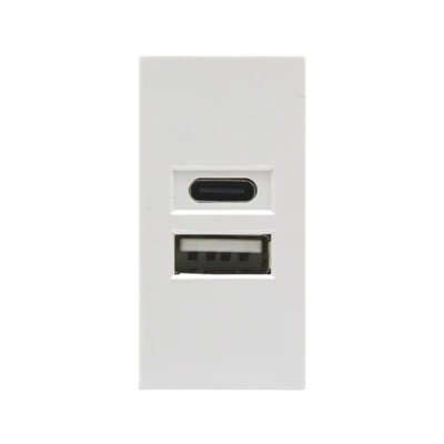 Ib qho USB C 10.5W Charger